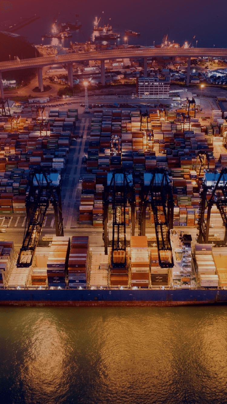 Shandong Supply Chain (Qingdao) Co., Ltd.